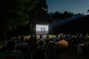 Alexis MESTRE - ALEXIS MESTRE